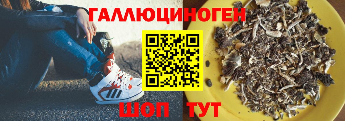 Псилоцибиновые грибы Psilocybe  Вход с VPN  Верхний Уфалей  Галлюциногенные грибы мухоморы 